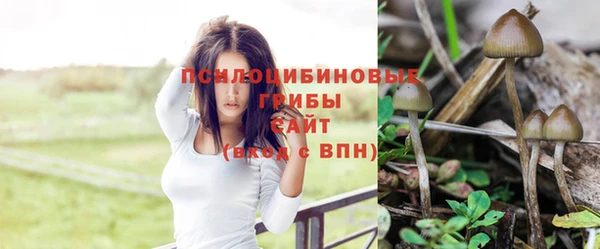 наркотики Алзамай