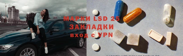 гашик Алексин