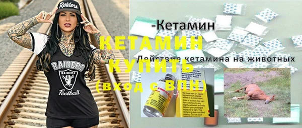гашик Алексин