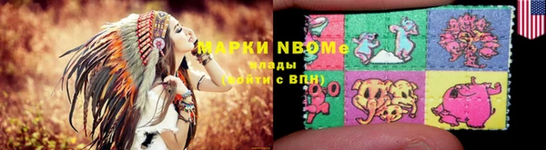 гашик Алексин